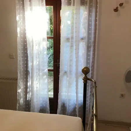 Home Пелекас