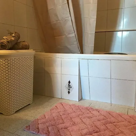Home * Пелекас